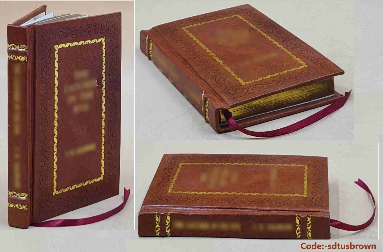 Amoxicillin By Sullivan, Paul [Preimium Leather bound]