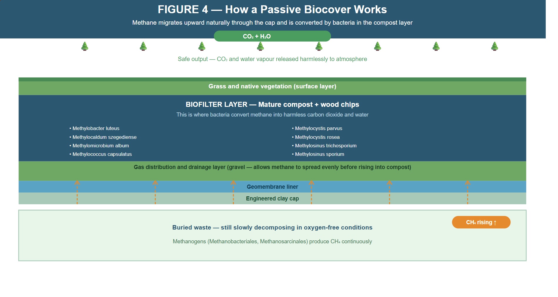A figure detailing the layers of a passive biocover. Grass, mature compost and wood chips, gas distribution and drainage layer, geomembrane liner, engineered clay cap, and finally the buried waste at the bottom.
