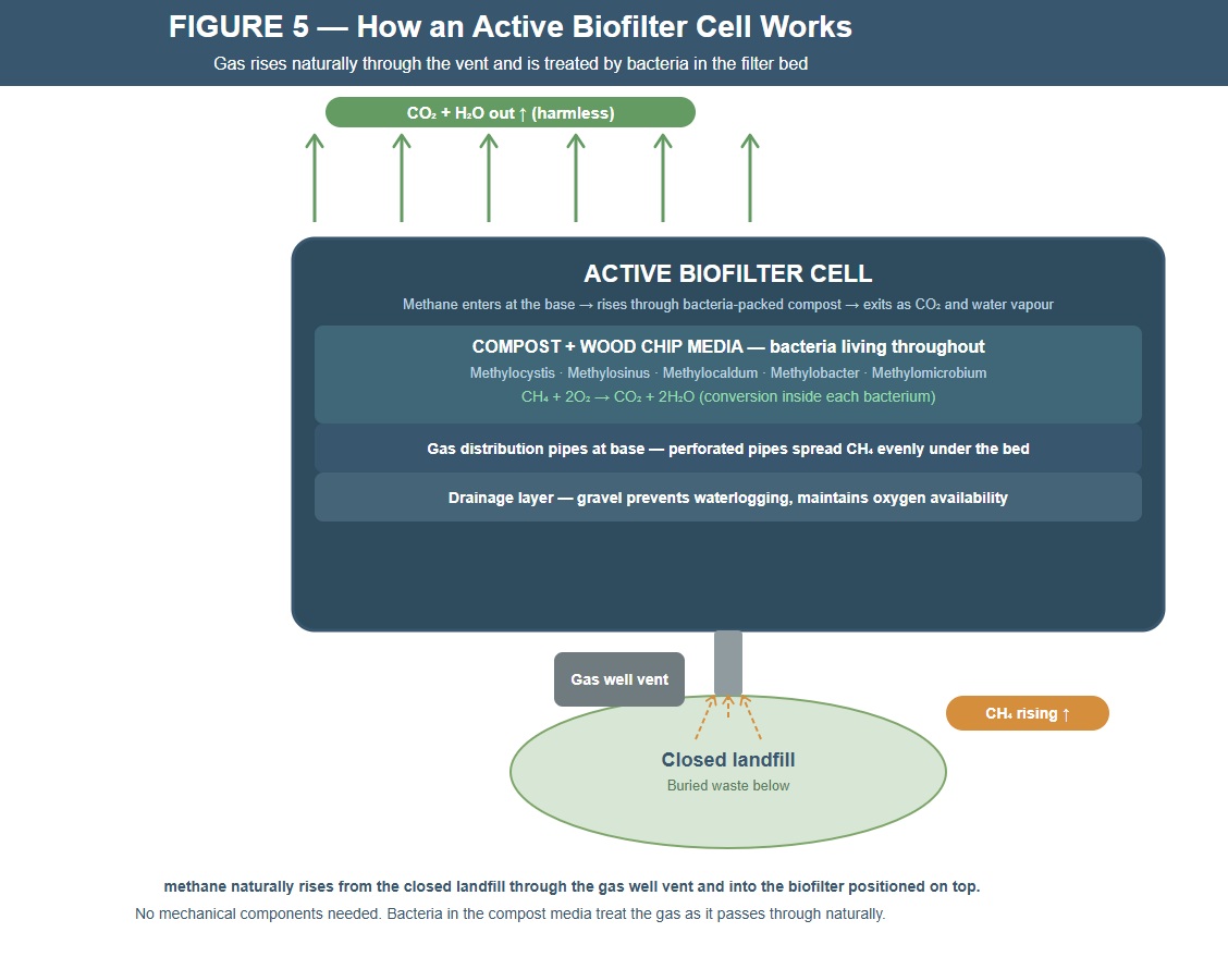 Figure of how an active biofilter works. 