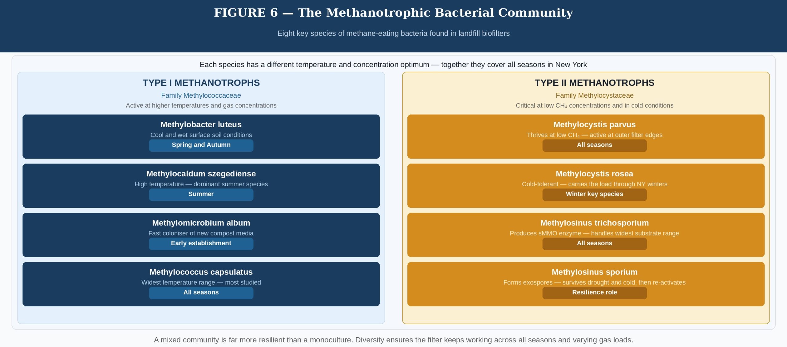 The Methanotrophic Bacterial Community.